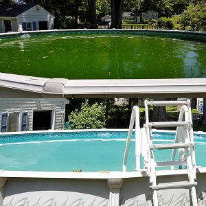 Green to Clean Pool